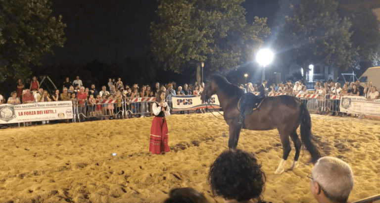 MISTERBIANCO: SULLE ALI DI PEGASO