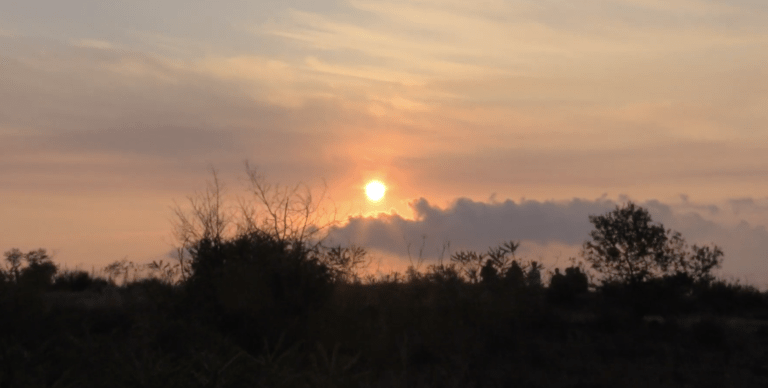 SP. MADONNA DEGLI AMMALATI 2019: L’ALBA DELLA CAMPANA