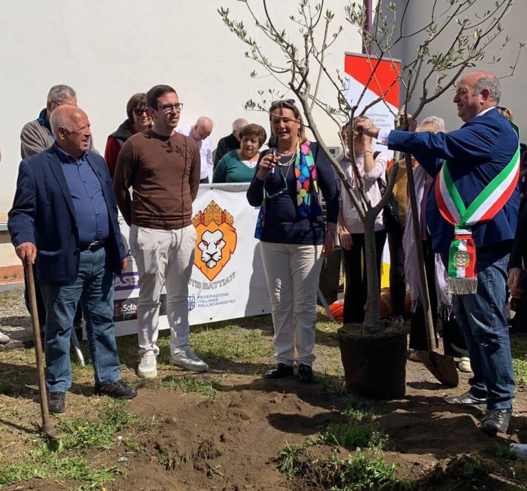 Riqualificazione Palabattiati: piantumazione di 2 nuovi ulivi