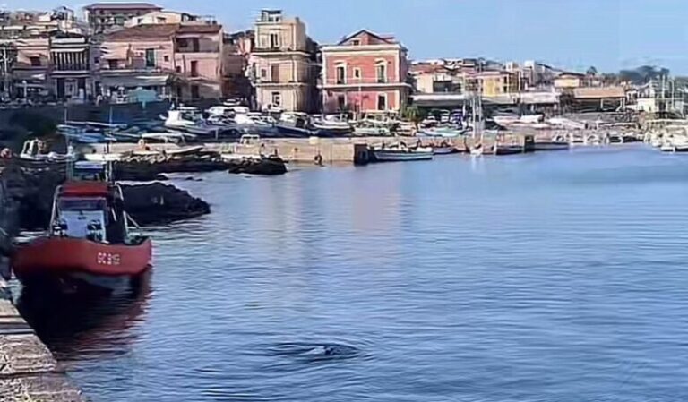 Aci Trezza, uomo cade in mare con la sua auto, salvato da un operatore d’imbarcazione