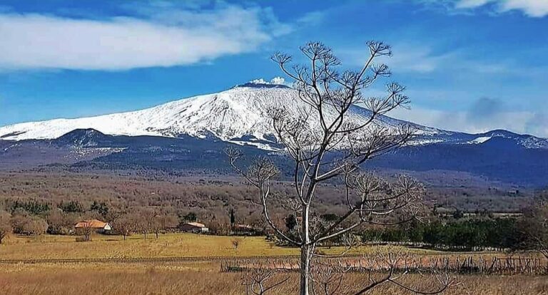 “L’Etna, l’altra metà di Catania”: Generattivi nel rapporto Catania-Etna