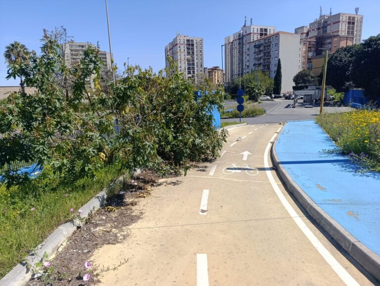 Verde pubblico in viale Castagnola a Librino, la nota di Spadaro