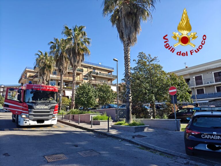 Incendio a Tremestieri di un appartamento, muore un gatto