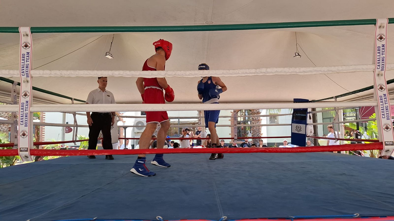 Mediterranean Boxing Tournament, la Sicilia protagonista: «Il movimento è cresciuto»