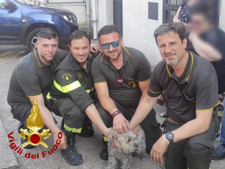 Incendio a Misterbianco, salvate 2 persone e 1 cagnolina